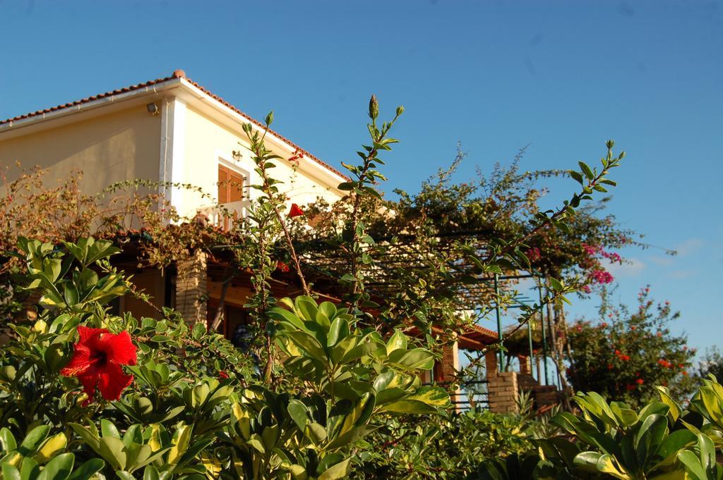 Panorama Apartments Updated With Infinity Pool Agios Nikolaos  Quarto foto
